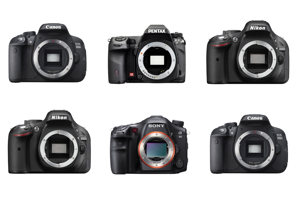 Comment flouter l’arrière-plan d’une photo naturellement : les 5 astuces indispensables !