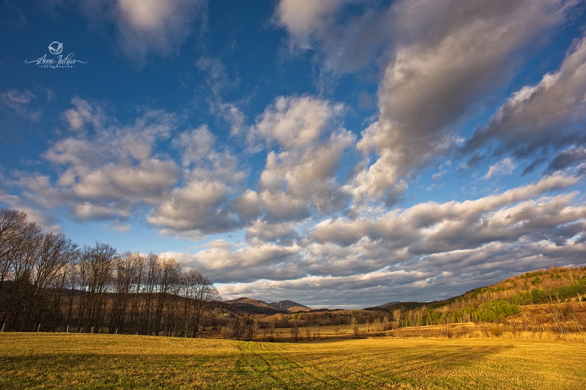 Comment flouter l’arrière-plan d’une photo naturellement : les 5 astuces indispensables ! Comment flouter l’arrière-plan d’une photo naturellement : les 5 astuces indispensables !