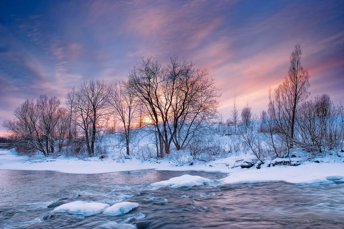 Comment flouter l’arrière-plan d’une photo naturellement : les 5 astuces indispensables ! Comment flouter l’arrière-plan d’une photo naturellement : les 5 astuces indispensables !