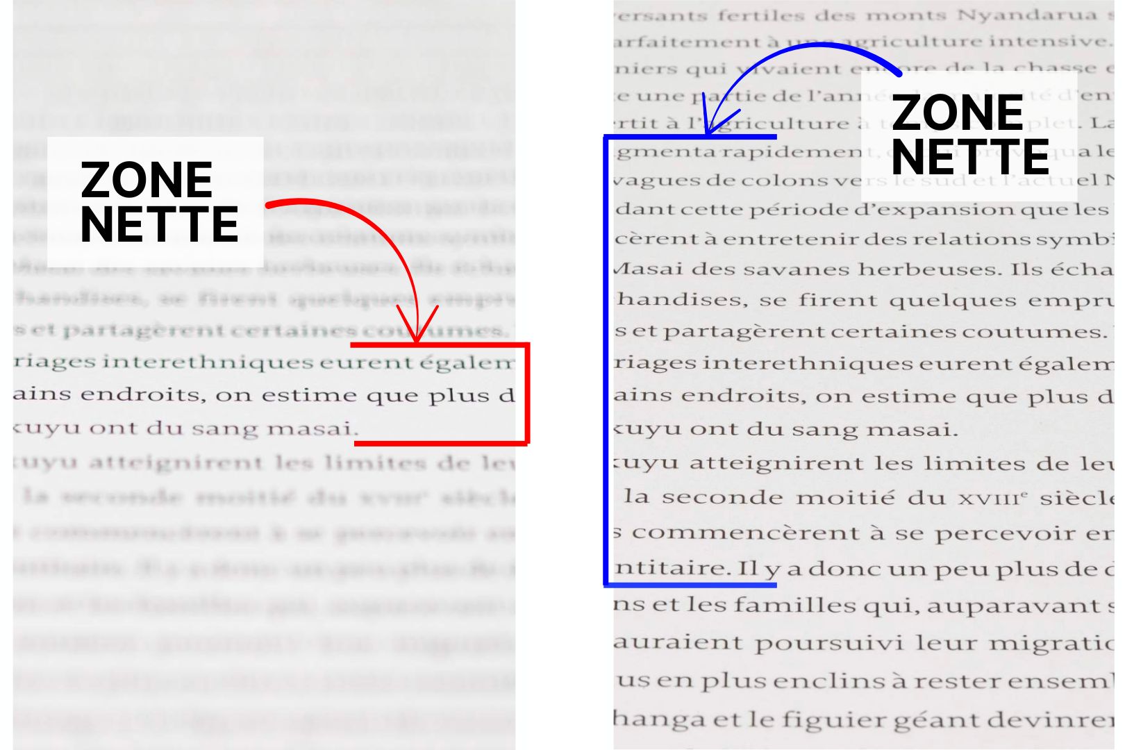 Comment flouter l’arrière-plan d’une photo naturellement : les 5 astuces indispensables ! Comment flouter l’arrière-plan d’une photo naturellement : les 5 astuces indispensables !