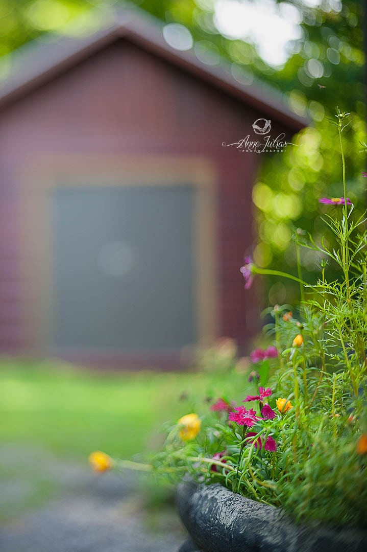 3-Technique-freelensing-