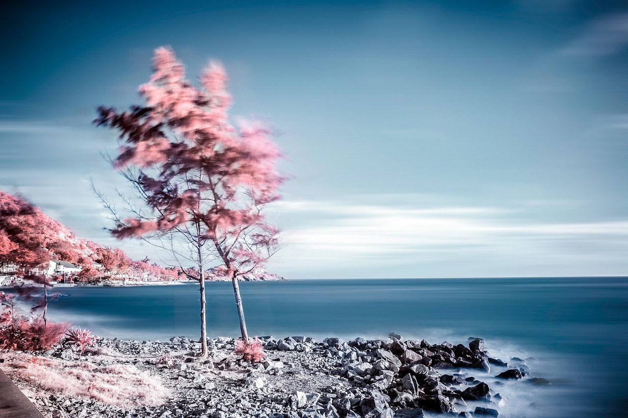 Comment flouter l’arrière-plan d’une photo naturellement : les 5 astuces indispensables ! Comment flouter l’arrière-plan d’une photo naturellement : les 5 astuces indispensables !