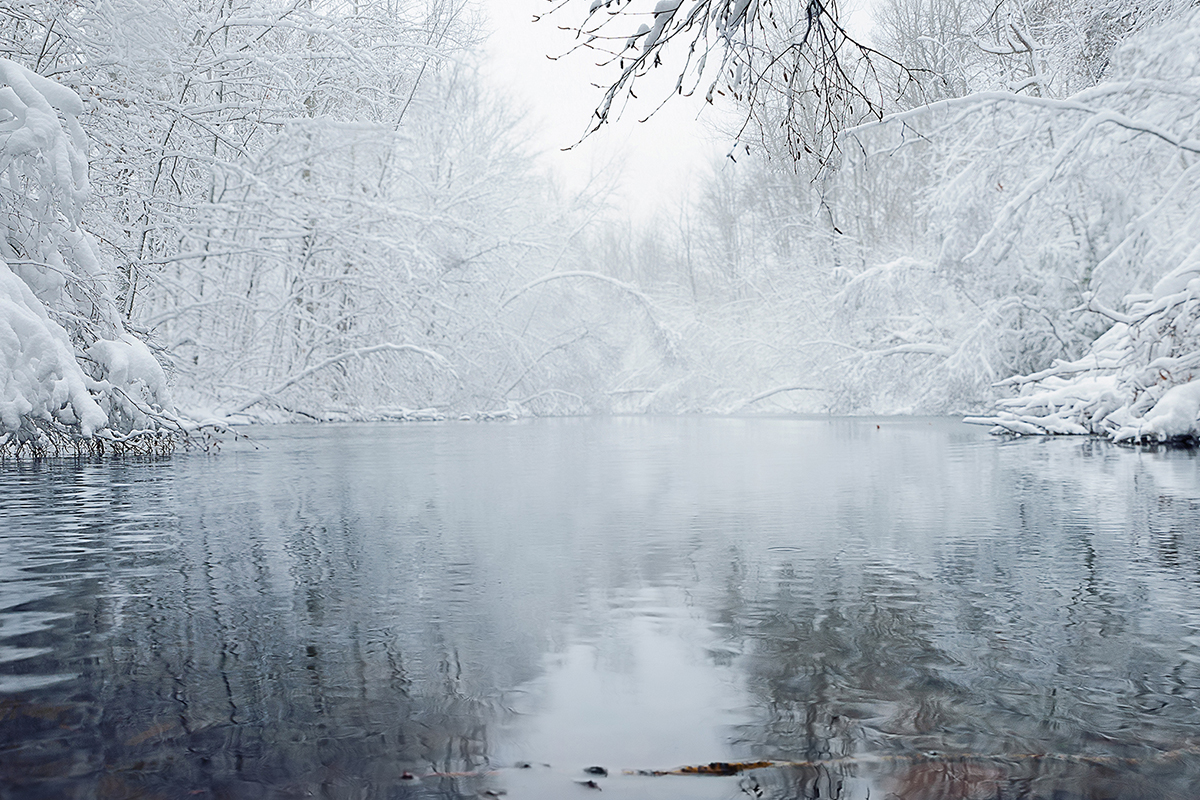Comment flouter l’arrière-plan d’une photo naturellement : les 5 astuces indispensables ! Comment flouter l’arrière-plan d’une photo naturellement : les 5 astuces indispensables !