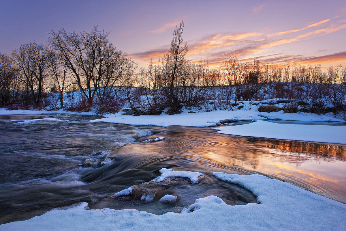 Comment flouter l’arrière-plan d’une photo naturellement : les 5 astuces indispensables ! Comment flouter l’arrière-plan d’une photo naturellement : les 5 astuces indispensables !