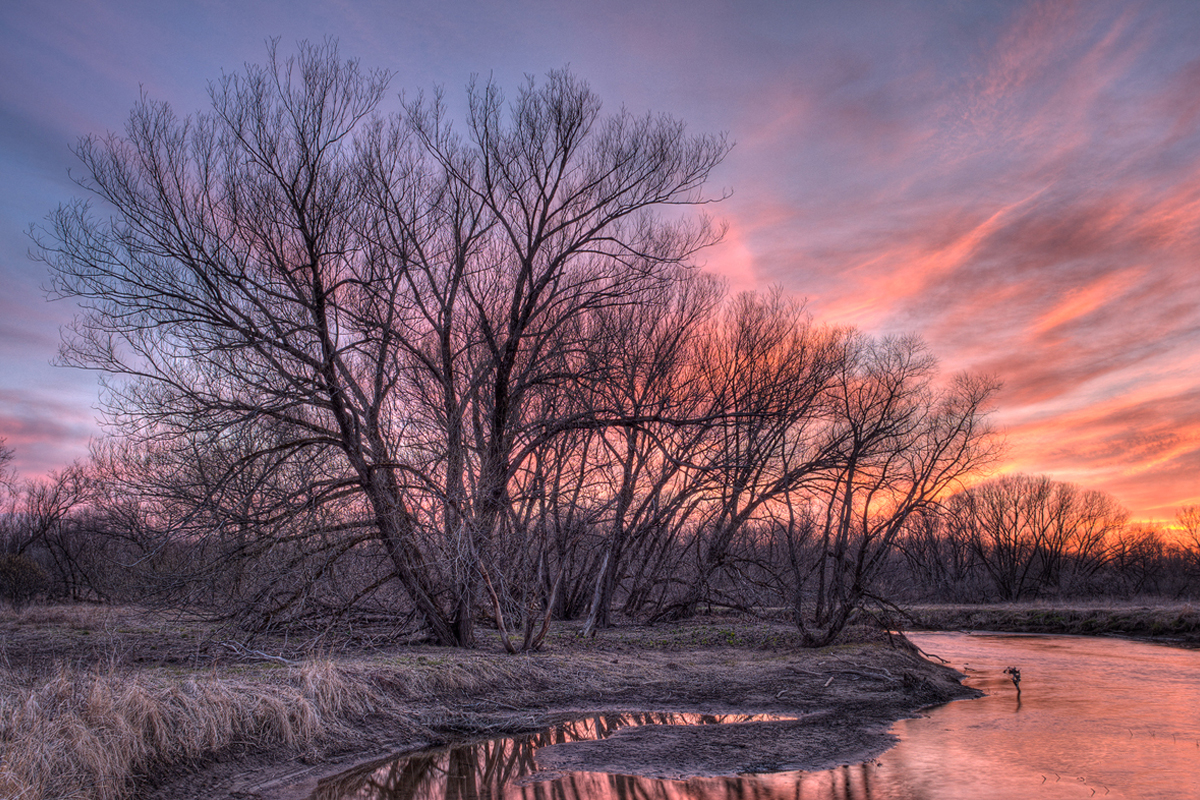 Comment flouter l’arrière-plan d’une photo naturellement : les 5 astuces indispensables ! Comment flouter l’arrière-plan d’une photo naturellement : les 5 astuces indispensables !
