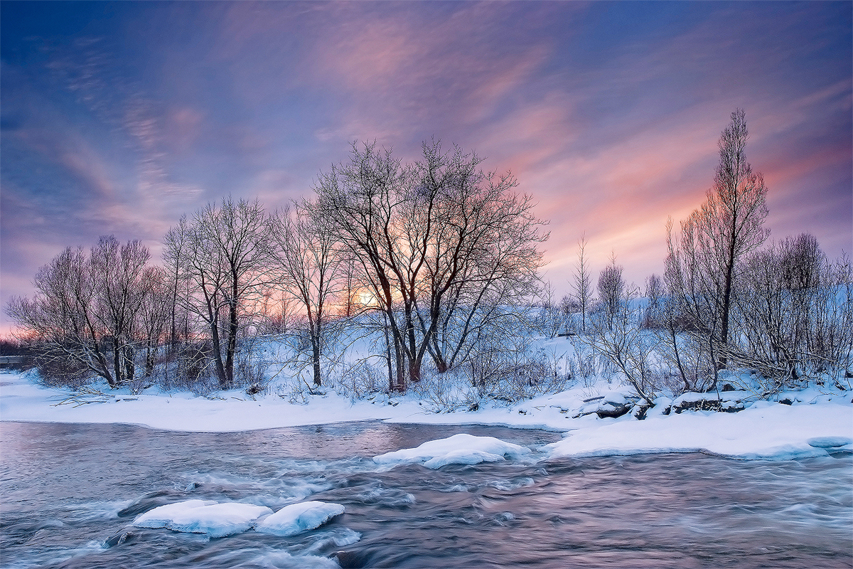 Comment flouter l’arrière-plan d’une photo naturellement : les 5 astuces indispensables ! Comment flouter l’arrière-plan d’une photo naturellement : les 5 astuces indispensables !
