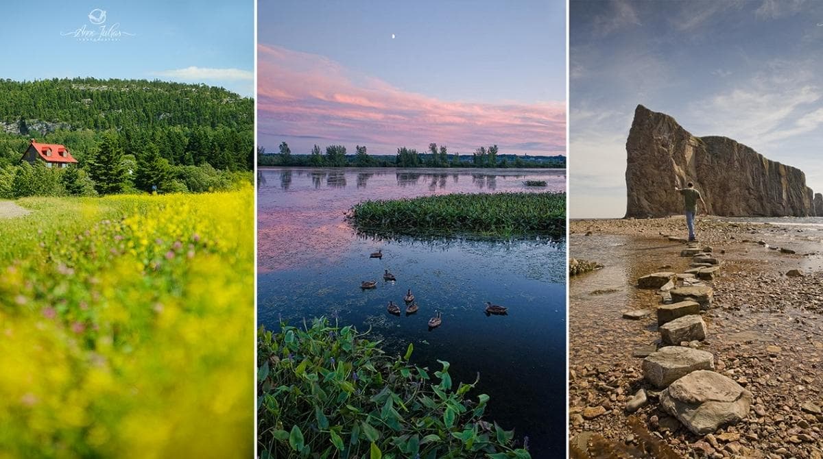 Comment flouter l’arrière-plan d’une photo naturellement : les 5 astuces indispensables ! Comment flouter l’arrière-plan d’une photo naturellement : les 5 astuces indispensables !