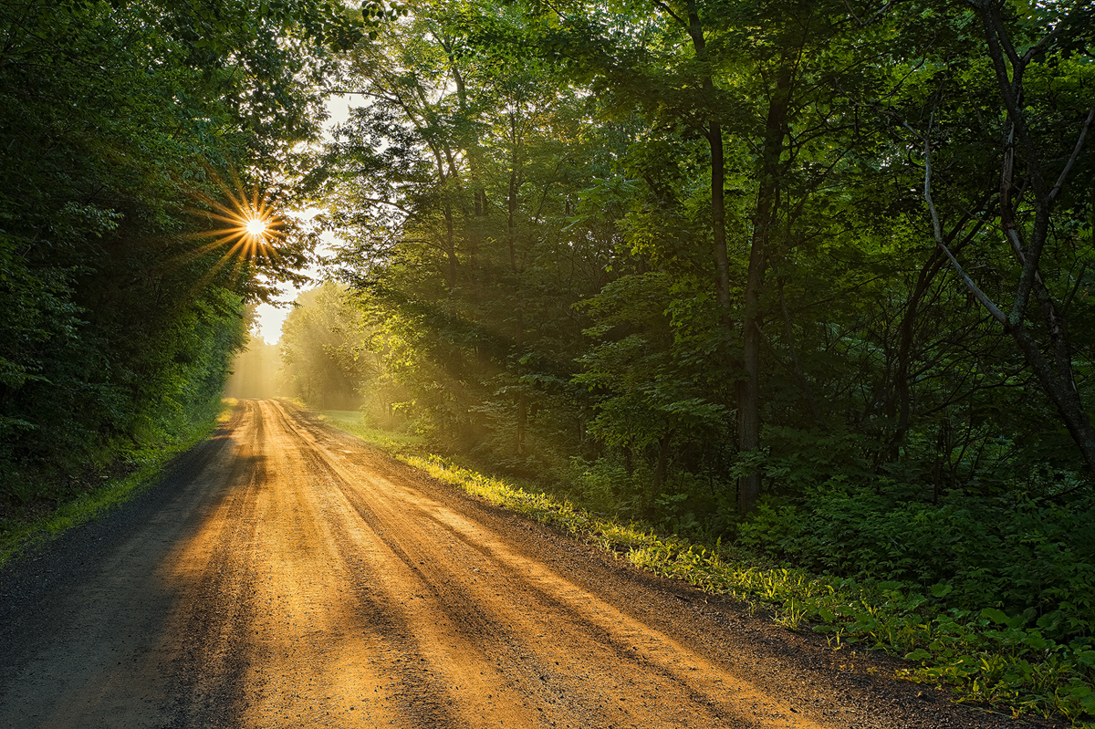 Comment flouter l’arrière-plan d’une photo naturellement : les 5 astuces indispensables ! Comment flouter l’arrière-plan d’une photo naturellement : les 5 astuces indispensables !