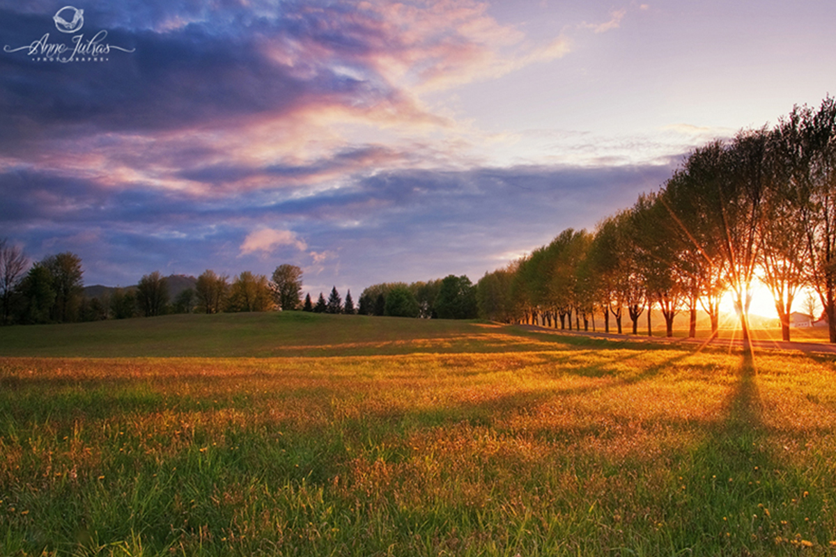 Comment flouter l’arrière-plan d’une photo naturellement : les 5 astuces indispensables ! Comment flouter l’arrière-plan d’une photo naturellement : les 5 astuces indispensables !