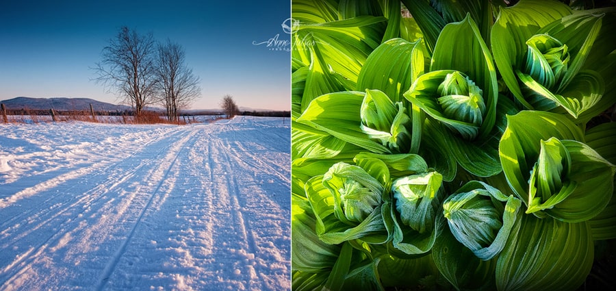 10_Photo-de-paysage-quel-type-de-lumi--re-favoriser-Lumi--re-de-c--t---min