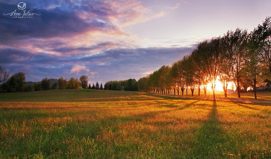 11_Photo-de-paysage-quel-type-de-lumi--re-favoriser-Lumi--re-de-c--t---min