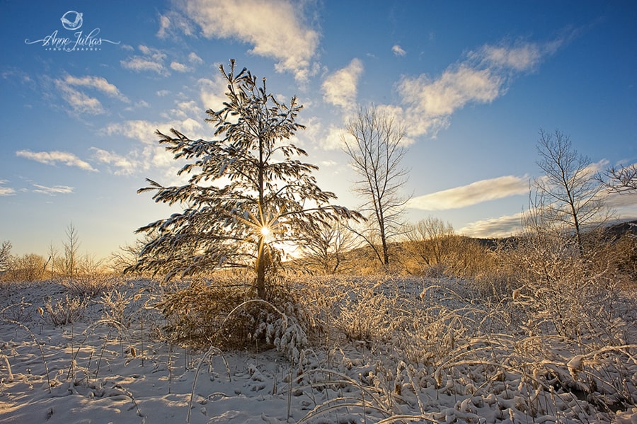 12_Photo-de-paysage-quel-type-de-lumi--re-favoriser-Contre-jour-min