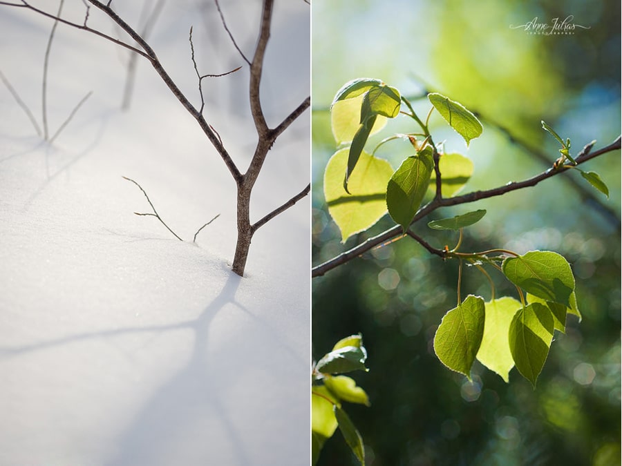 13_Photo-de-paysage-quel-type-de-lumi--re-favoriser-Contre-jour-min