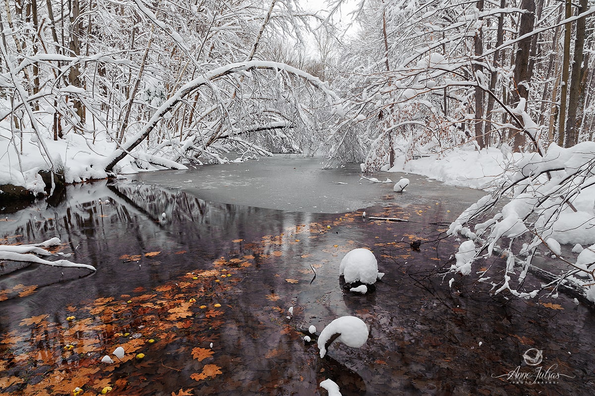2016-11-22-neige-étang_web_0820-min