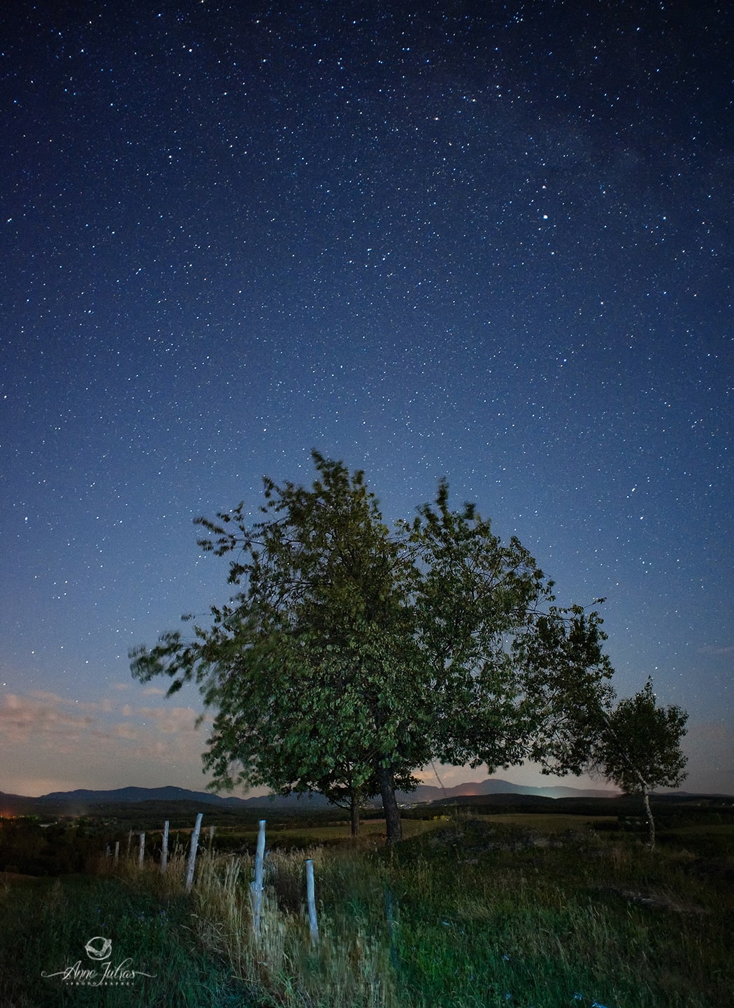 20160808_AnneJutras_0131-min