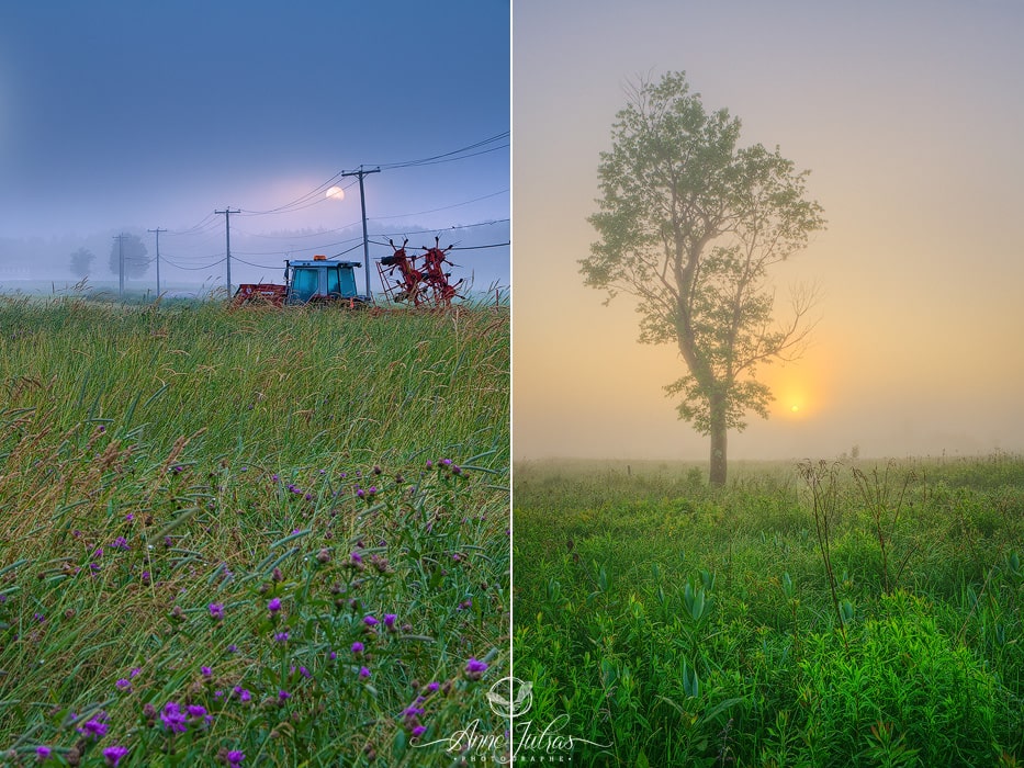 2_Photo-de-paysage_quel-type-de-lumi--re-favoriser_Lumi--re-min