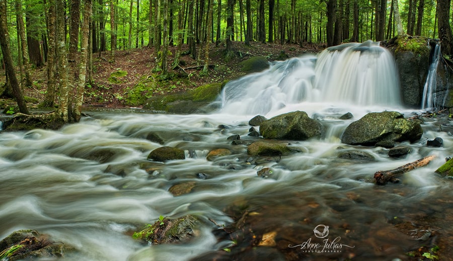 4_Photo-de-paysage-quel-type-de-lumi--re-favoriser-Diffuse-min