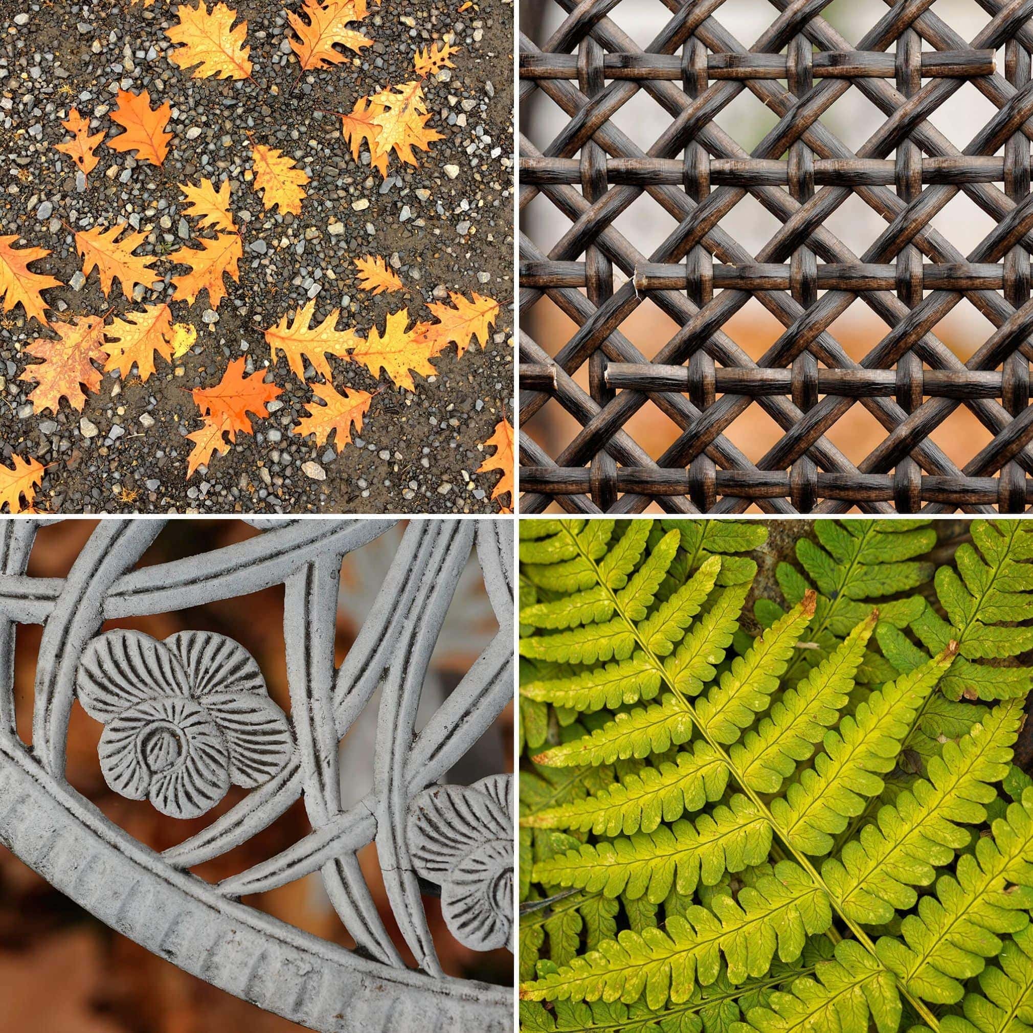 6B-Photographier-les-détails-min