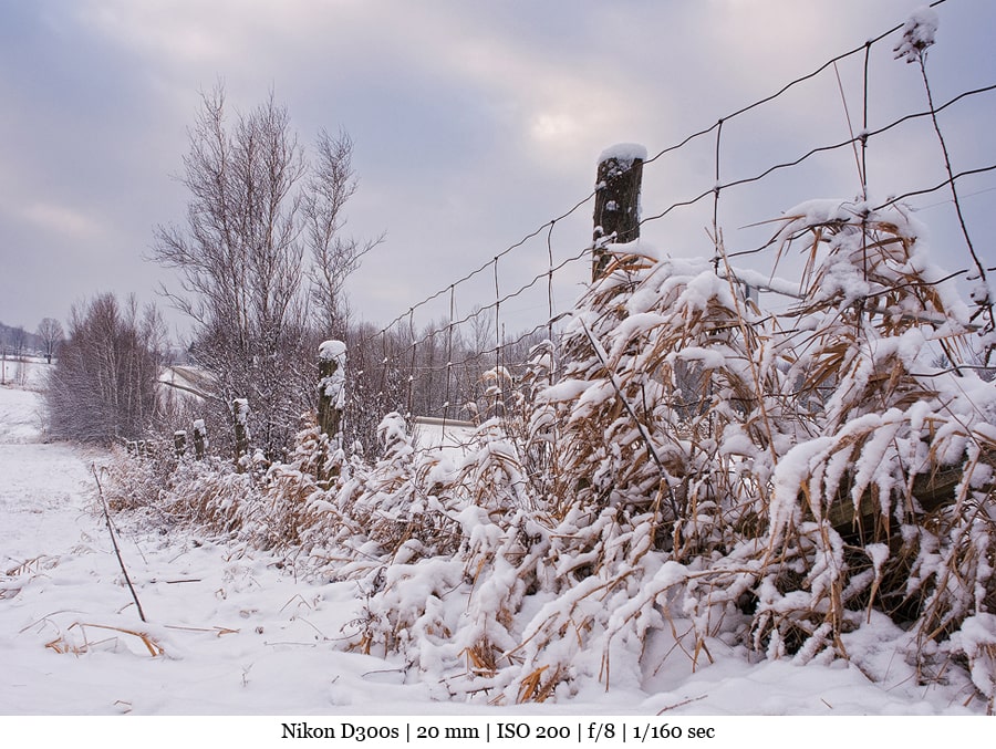 6_Photo-de-paysage-Perspective-min