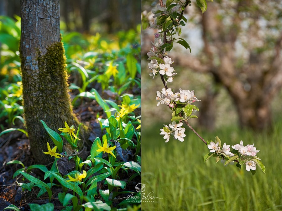 6_Photo-de-paysage-quel-type-de-lumi--re-favoriser-Directe-min