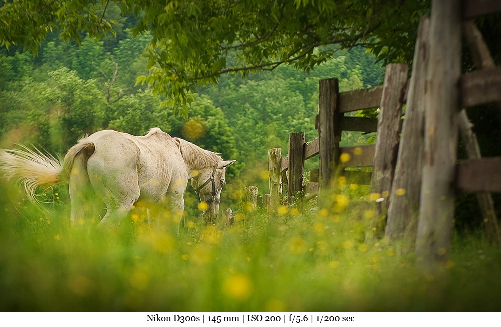 7_photo-de-paysage-Au-ras-du-sol-min