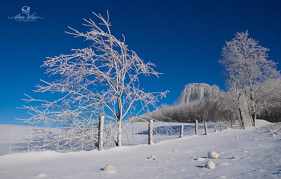 8_Photo-de-paysage-quel-type-de-lumi--re-favoriser-Directe-min