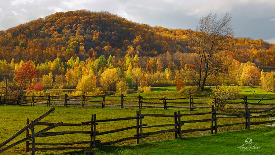 9_Photo-de-paysage-quel-type-de-lumi--re-favoriser-Lumi--re-de-c--t---min