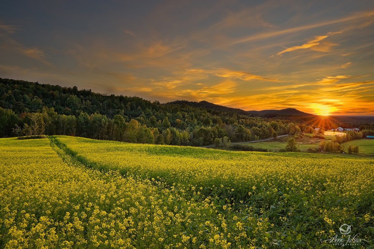 Améliorer-les-couleurs-de-ses-photos-2-min