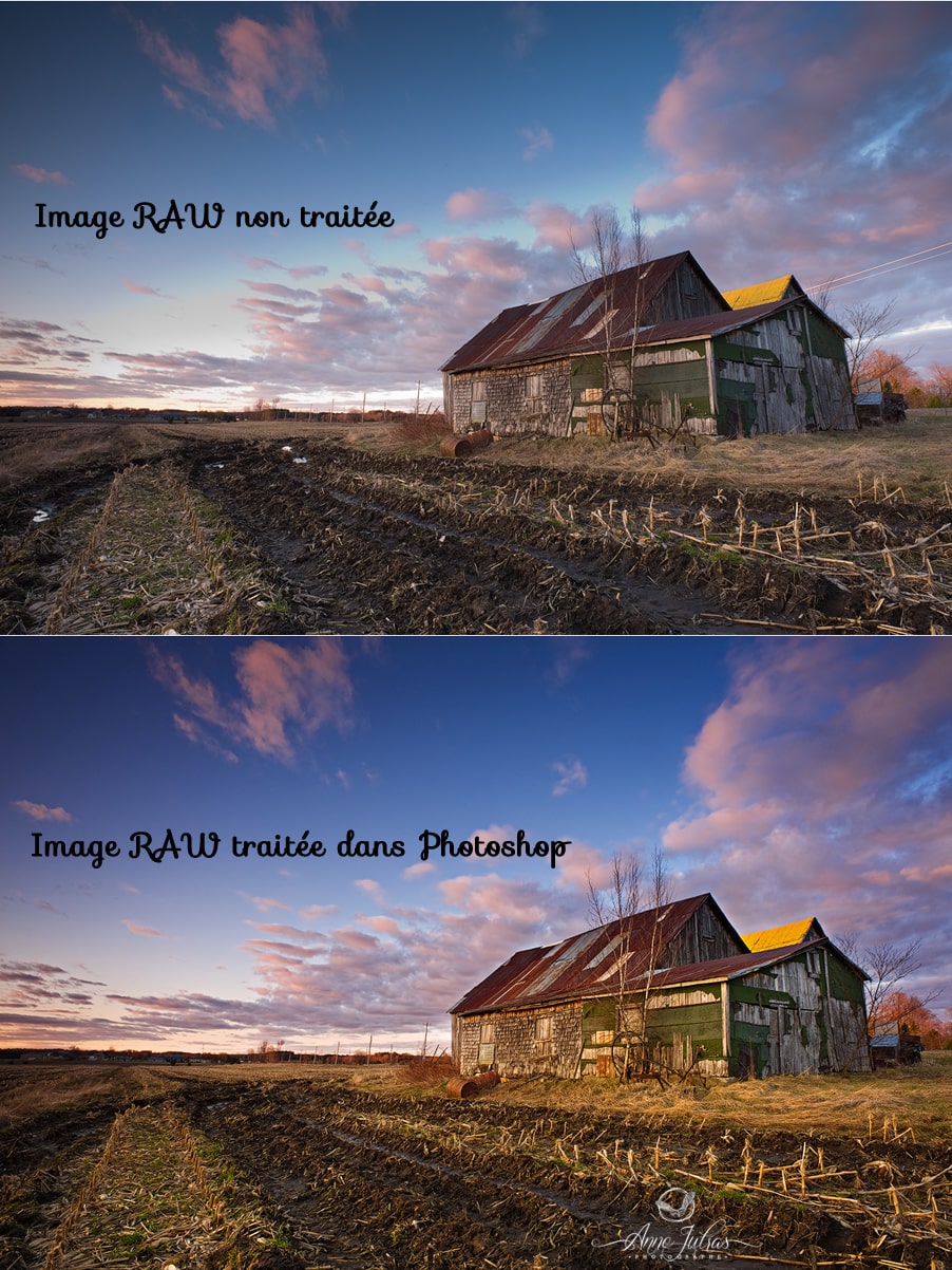 Améliorer-les-couleurs-de-ses-photos-RAW-min