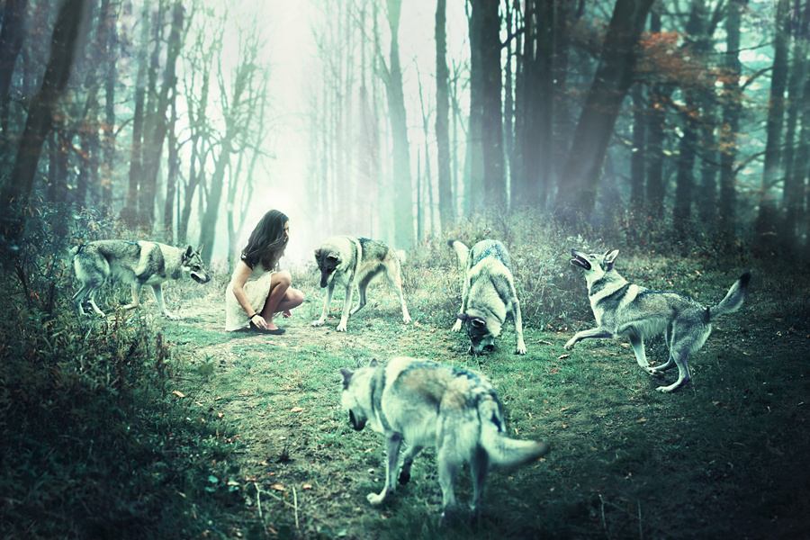 Danses-avec-les-loups