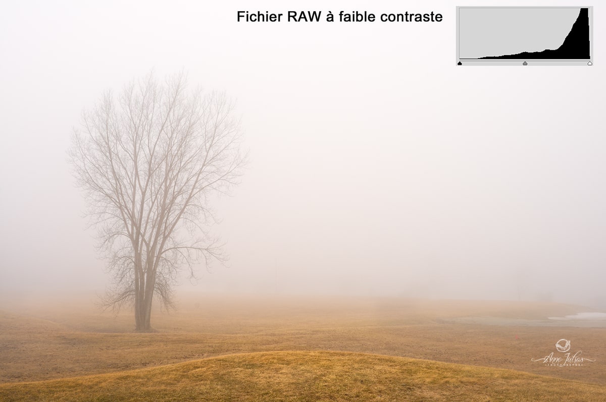 Fichier-RAW-faible-contraste-min