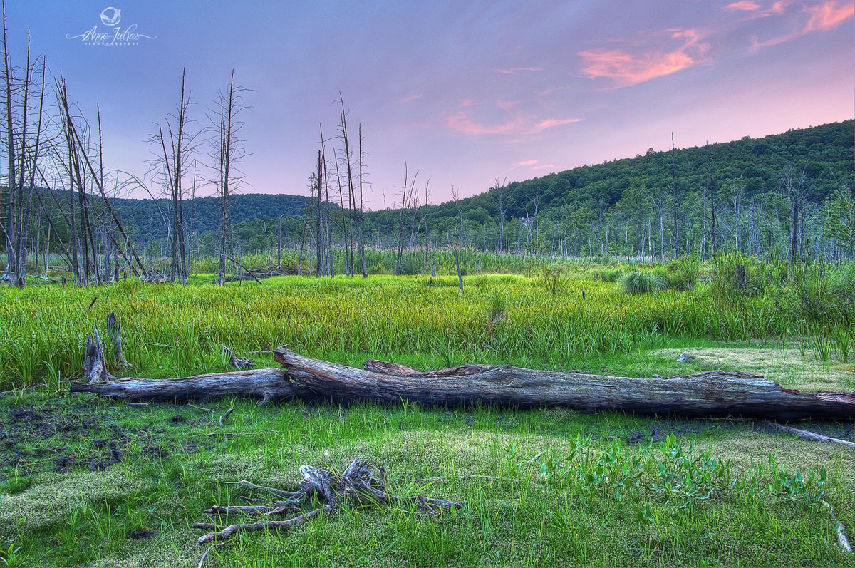 Photo-HDR_2-min