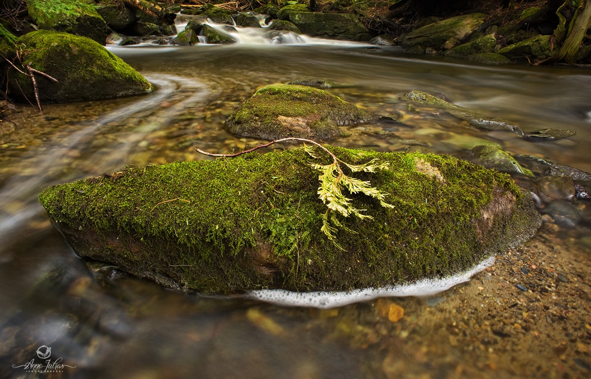 Photos-de-Cascade-3-min