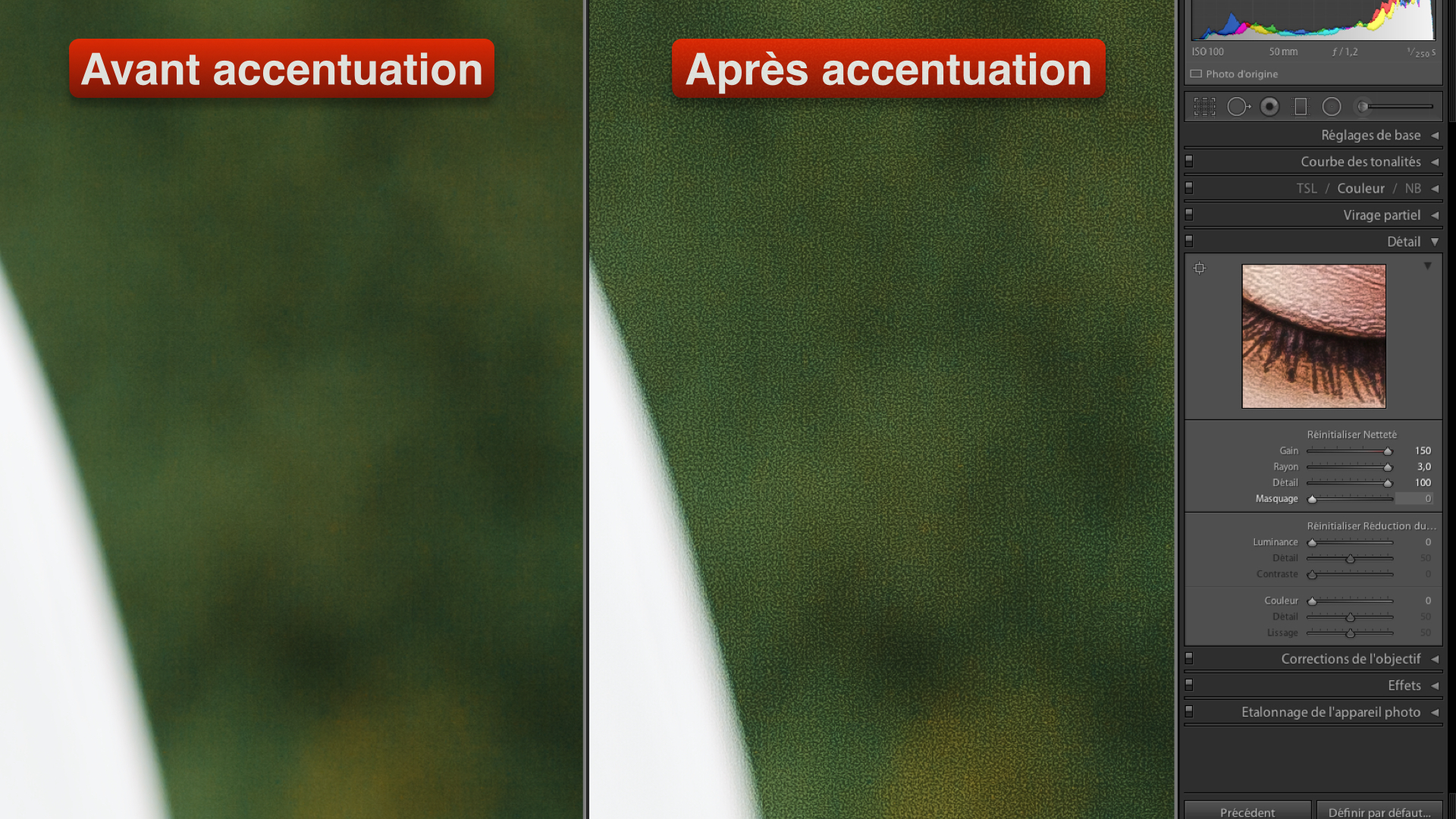 cours-photo-netteté.024