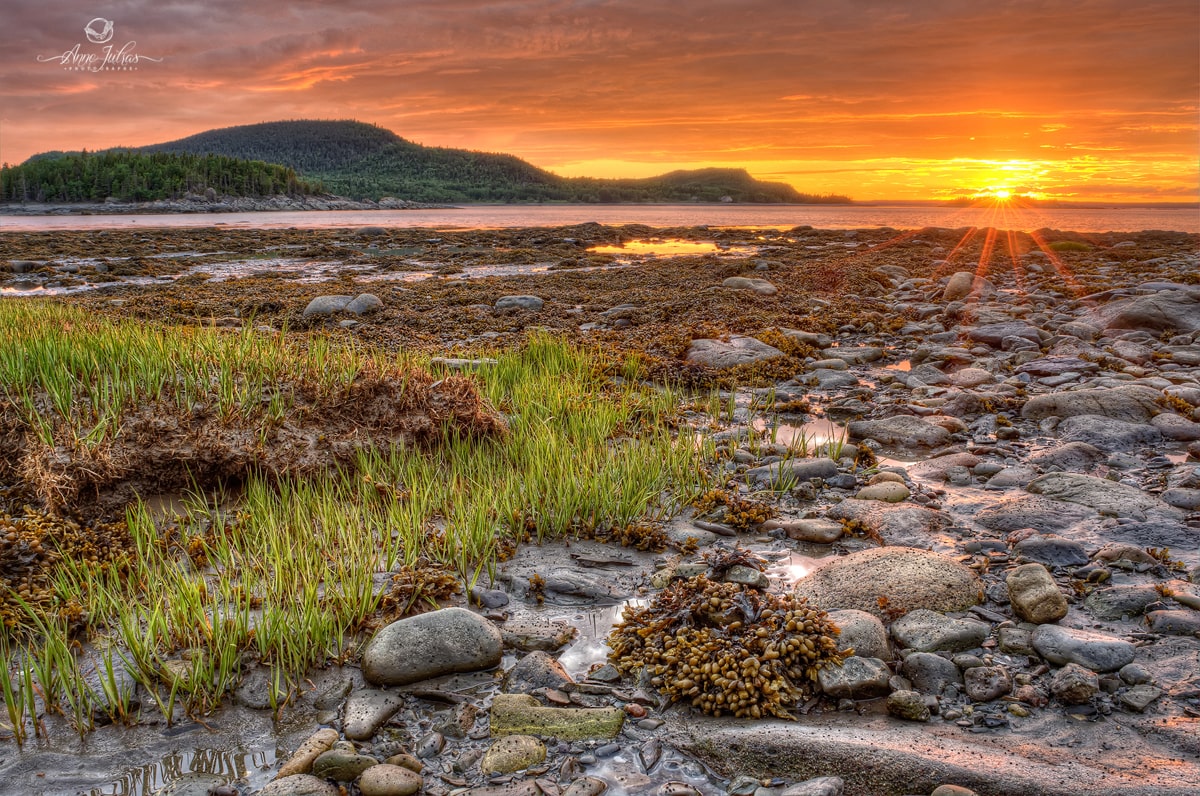 grand-angle-optimiser-photo-paysage-4-min