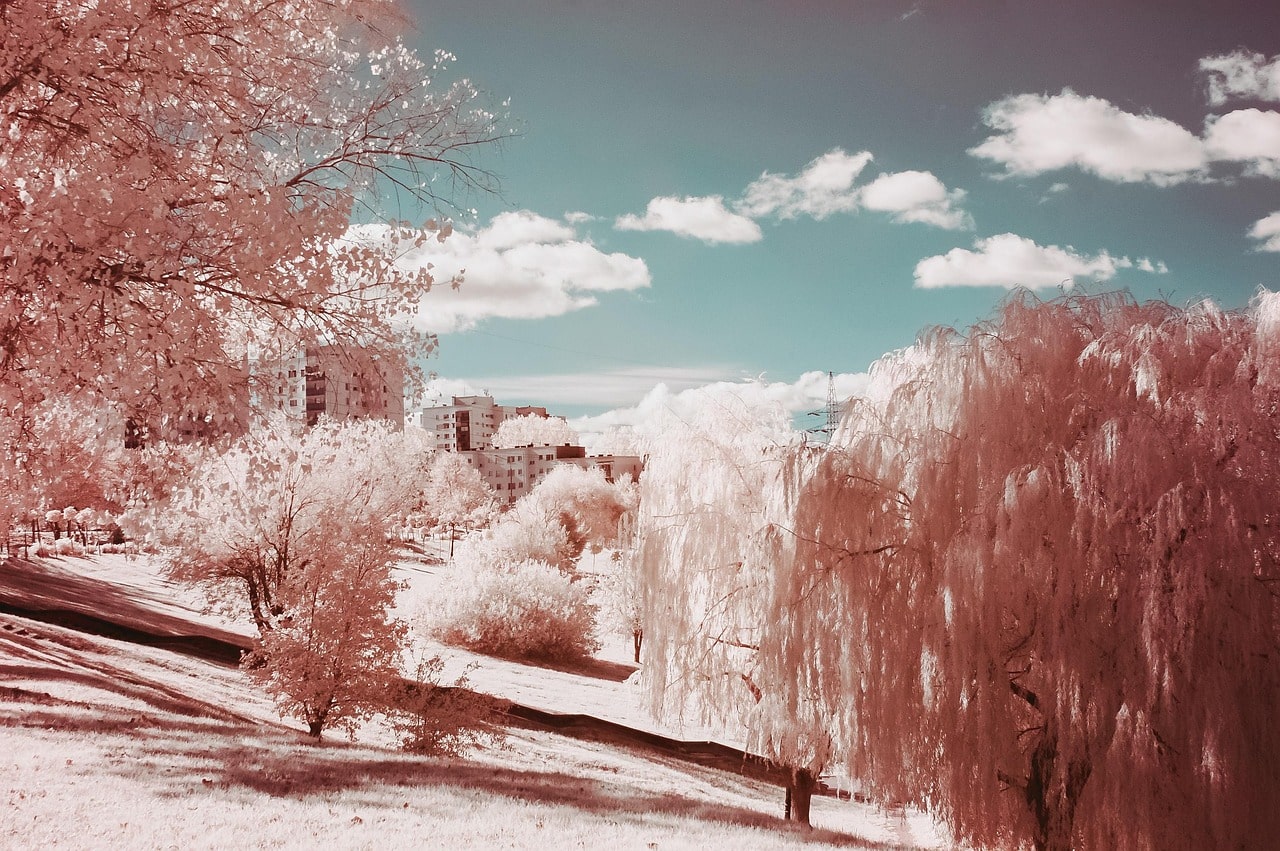 infrared-4530568_1280-min